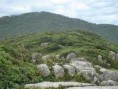 /album/imagens8/images-1-jpg3/